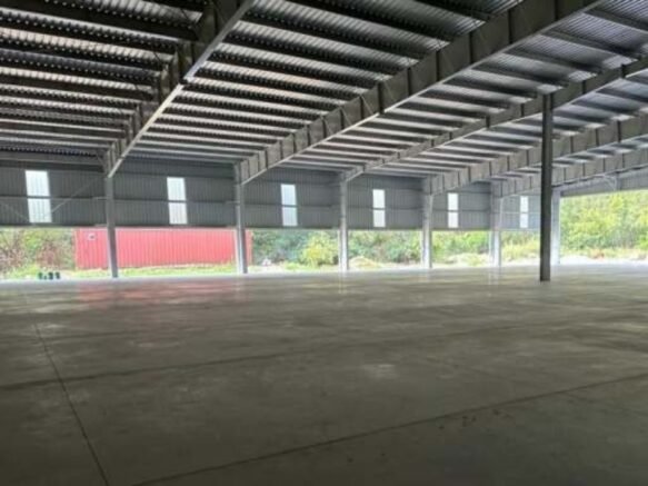 {{brizy_dc_image_alt imageSrc=